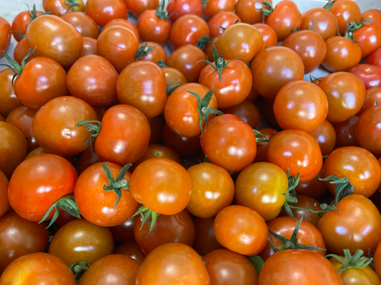Tomates cerises