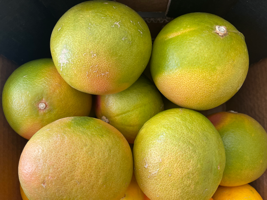 Pomelo BIO