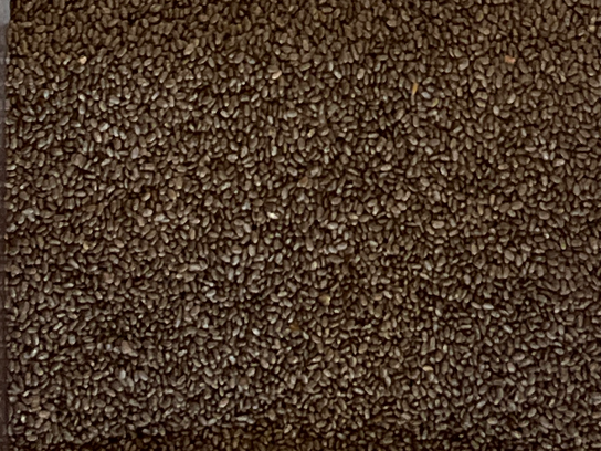 Graines de chia