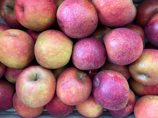 Pommes Dalinette