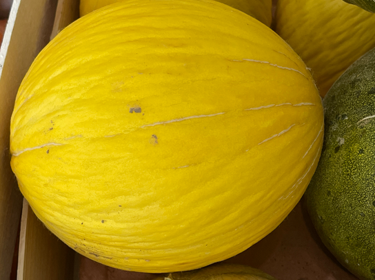 Melon jaune (canari)