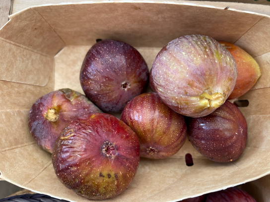 Figues Madeleine