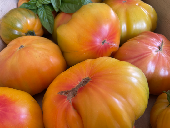 Tomates Ananas