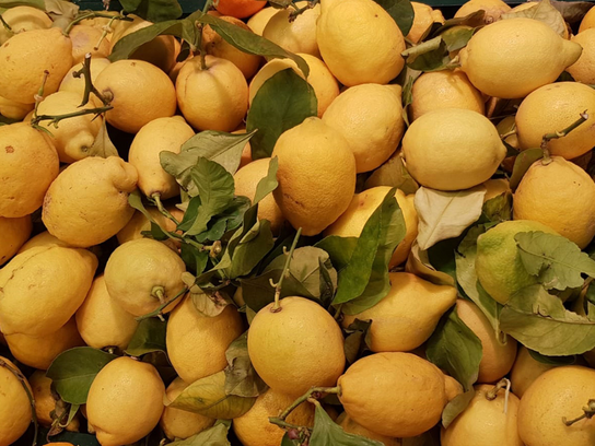 Citron feuille