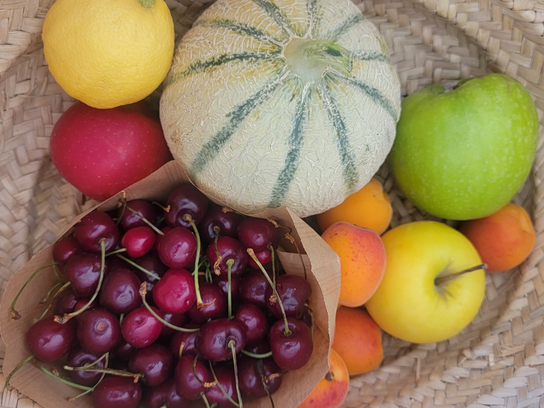 Panier total fruits