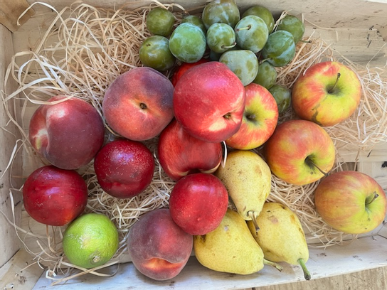 Panier total fruits