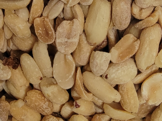 Cacahuète / arachide grillées natures - vrac