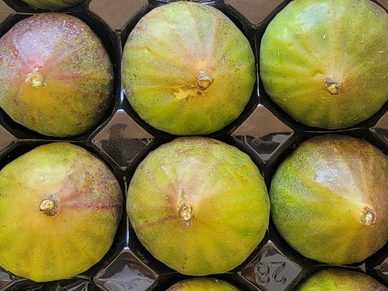 Figues