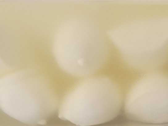 Bille de mozzarella - 100g