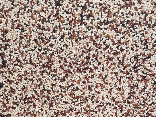 Quinoa multicolore - vrac