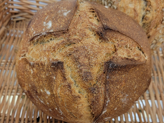 Pain de campagne BIO (dispo M, M, J, S)