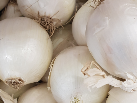 Oignons Blancs frais