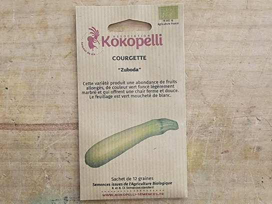 Graines de Courgette