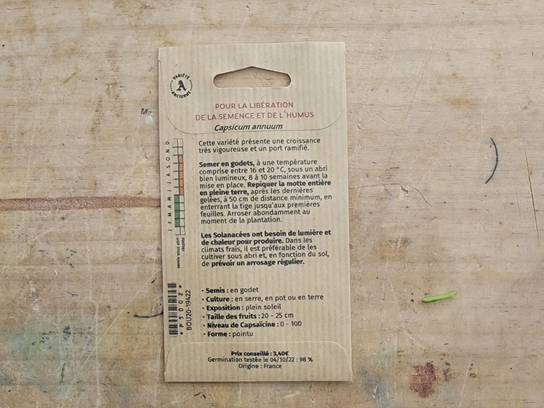 Graines de Piment doux / poivron jaune