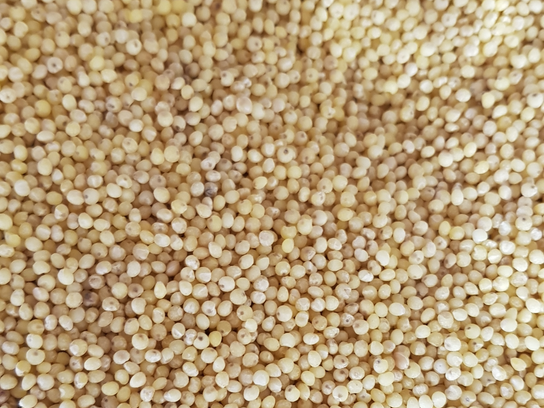 Graines de millet - vrac