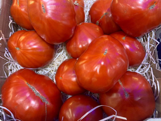 Tomate Cœur De Bœuf Veritable D'Antan