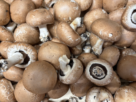 Champignons de Paris