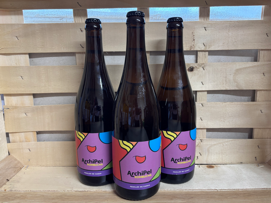 Kombucha Feuille de Cassissier - 75 cl