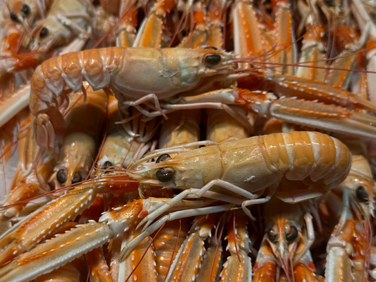 Langoustines Vivantes Cuites