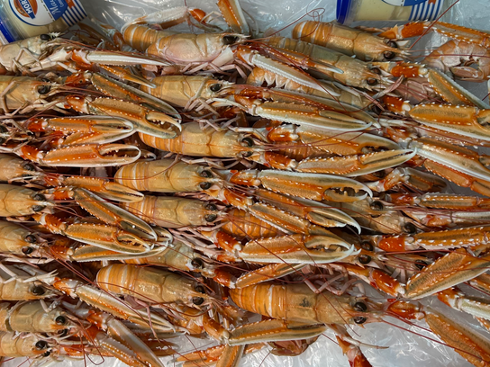 Langoustines Vivantes Cuites