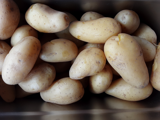 Pommes de terre blanches - cuites et chaudes 350g