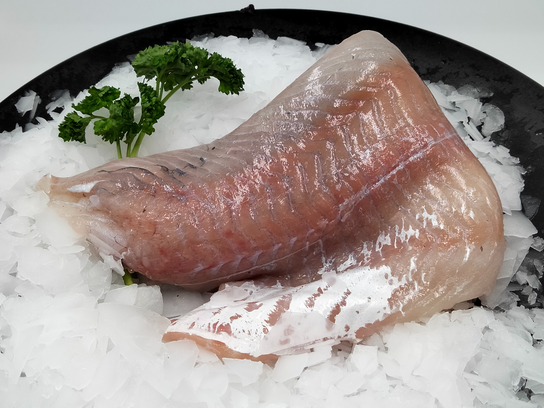 Filet de Lieu Noir