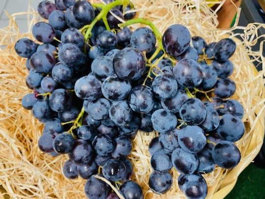 Raisin muscat extra