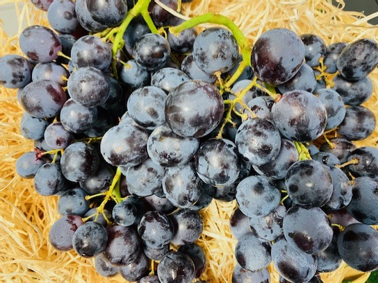 Raisin muscat extra