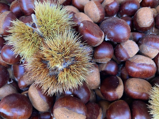 Marron