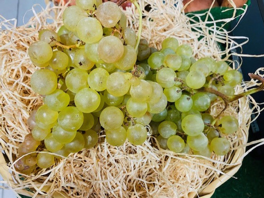 Raisin Chasselas de Moissac