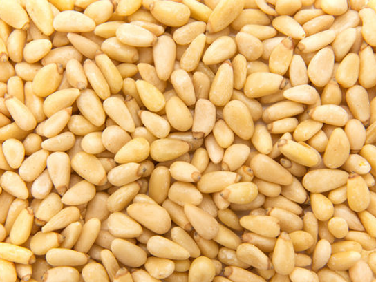 Pignon de Pin