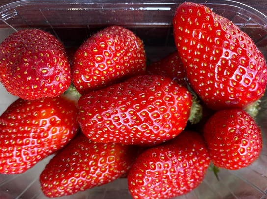 Fraises Gariguette