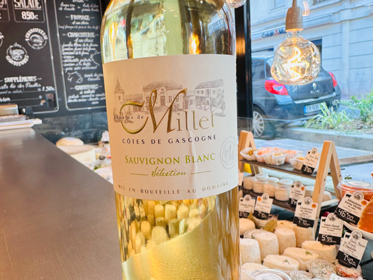 Sauvignon blanc