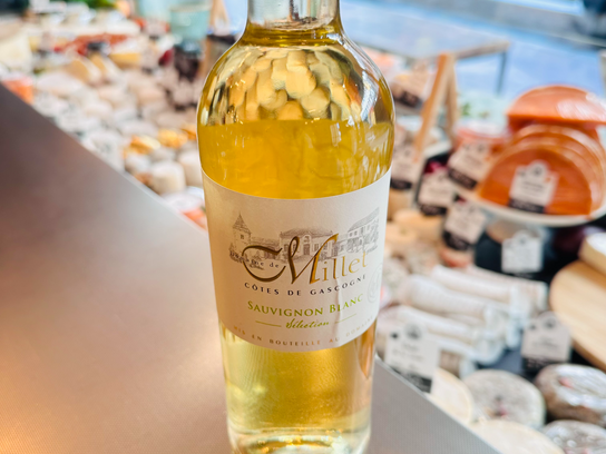 Sauvignon blanc