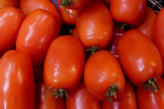 Tomates Torino