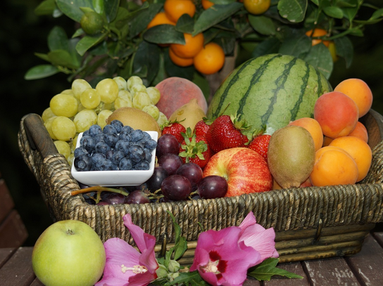 Panier de fruits de saison