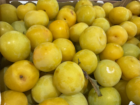 Prune jaune Sun