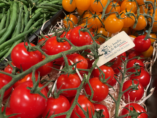 Tomates cerises Rabelais