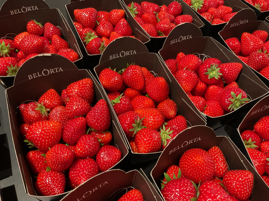Fraise