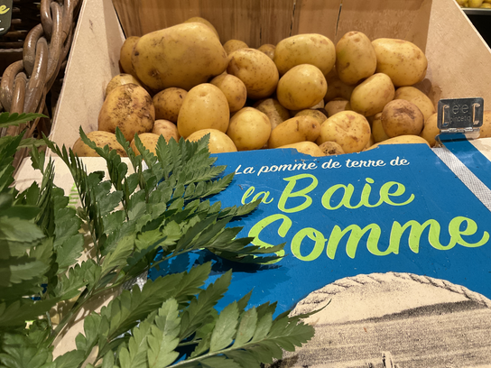 Pomme de terre de la baie de somme