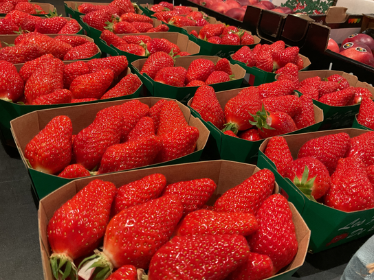 Fraises Gariguette