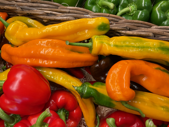 Poivrons Corne couleurs