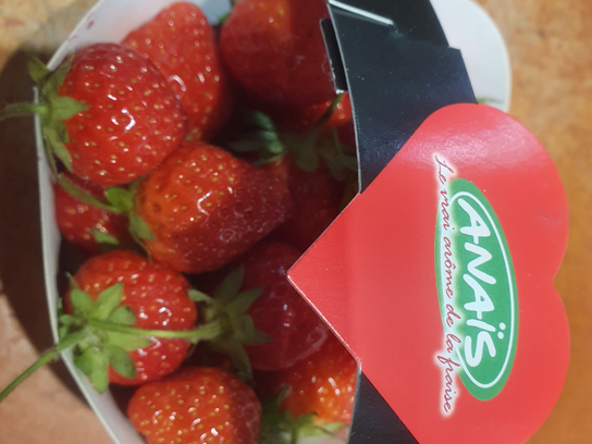 Fraises anais