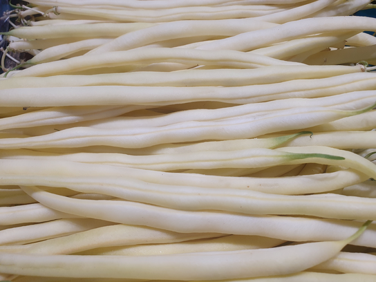 Haricots beurre