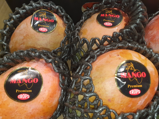 Mangue