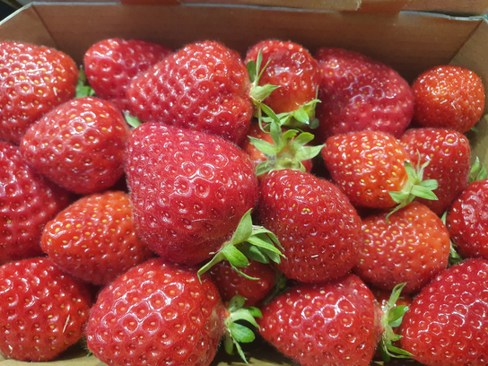 Fraises clery 500g