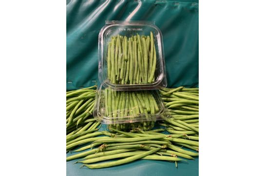 Haricots verts extra fin épluchés par nos soins