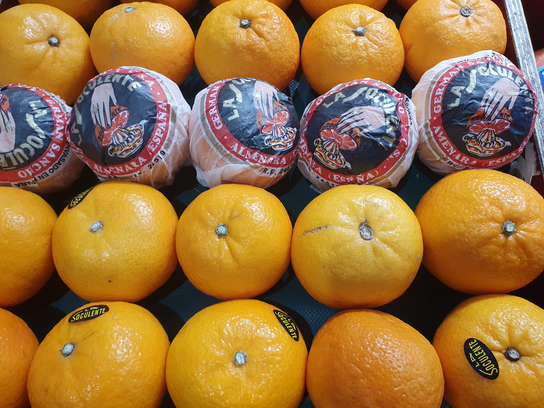 Clémentines soculentes