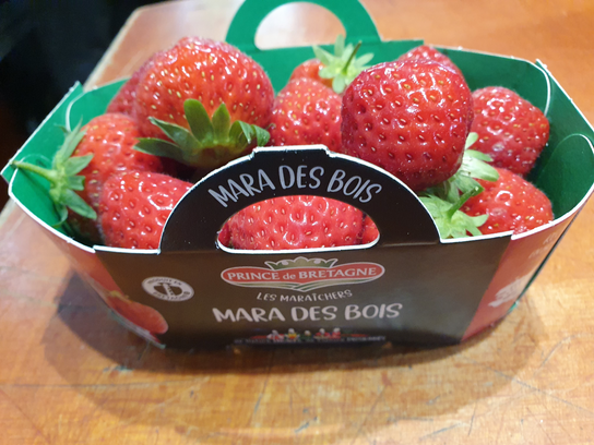 Fraises mara des bois