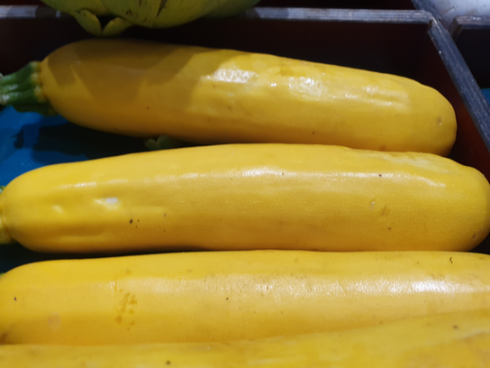 Courgettes jaunes